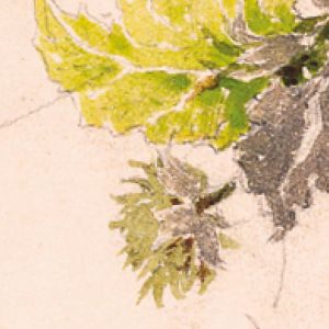 Journées de l'Art Nouveau 2022